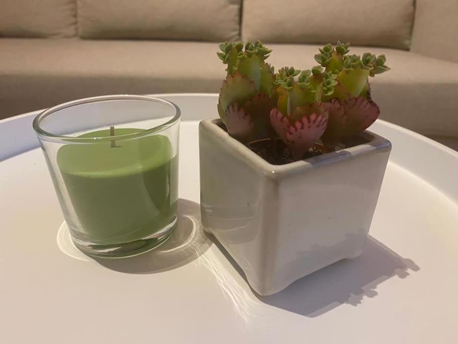 Ruim Duplexappartement Met Groot Terras * Ostend